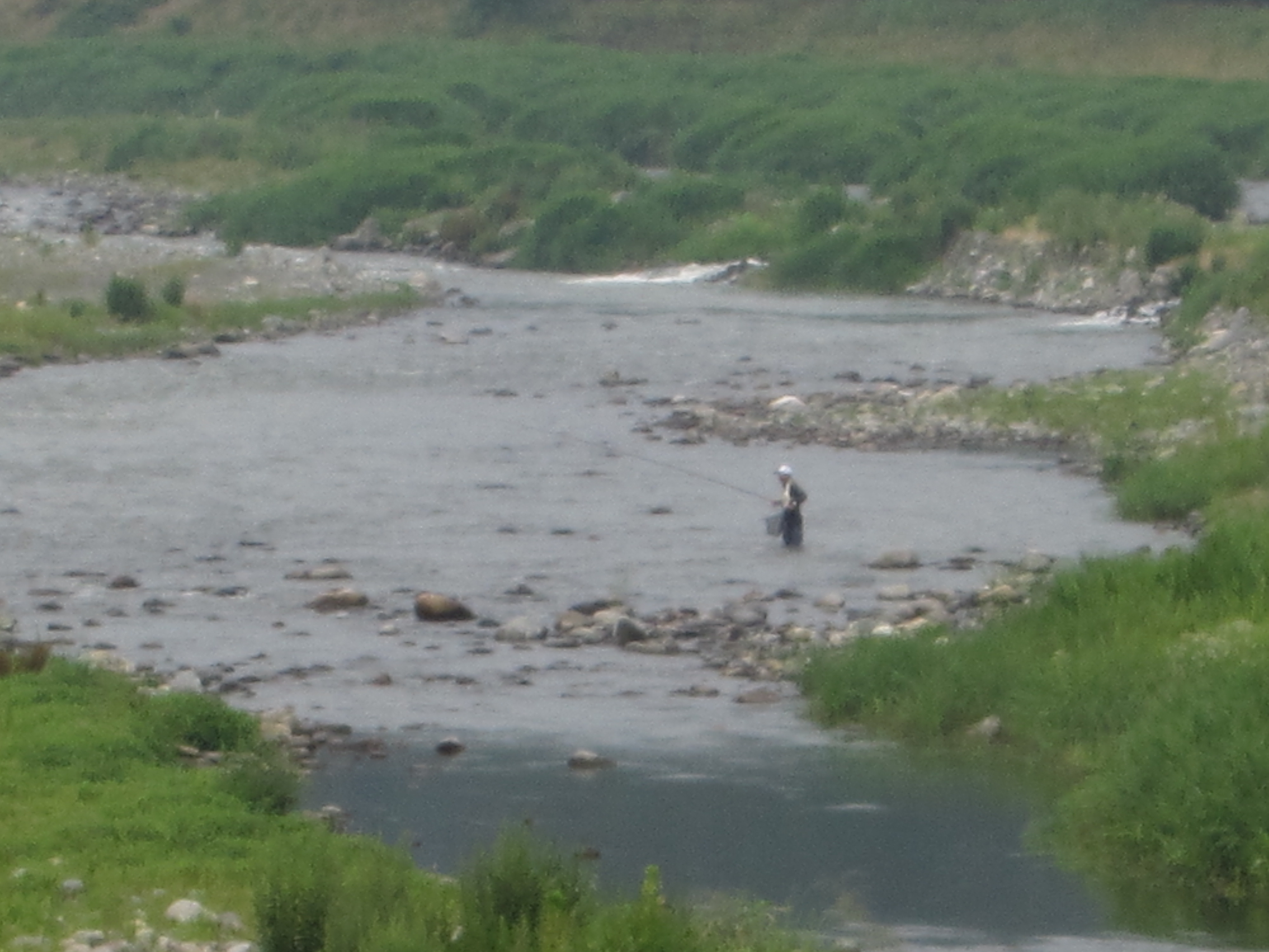 ７月３日(木)の河川状況